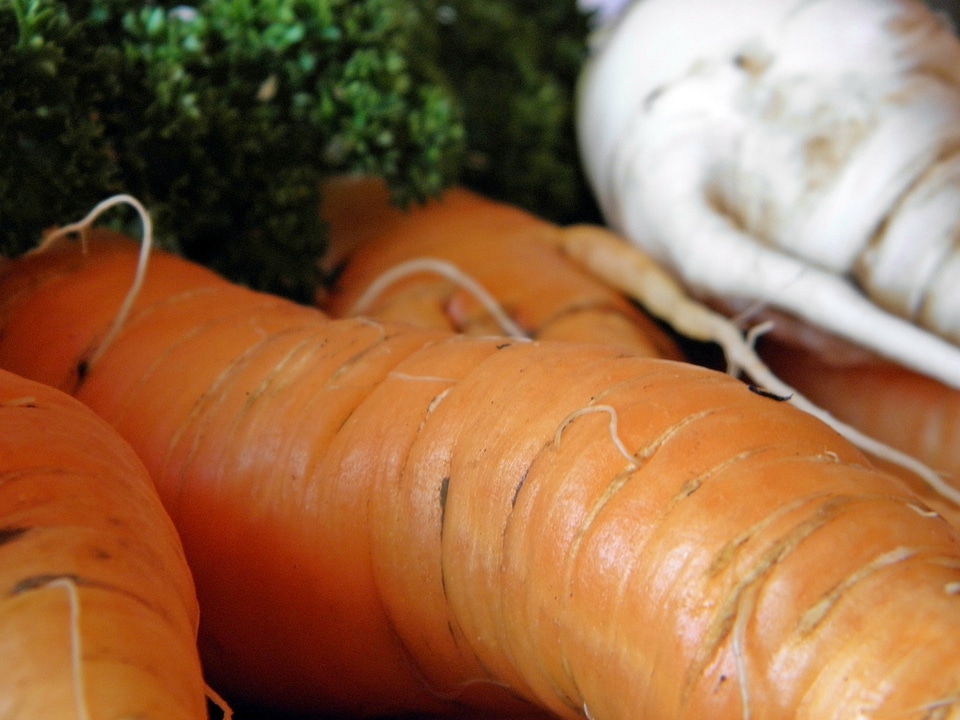 Plant carrot soup greens