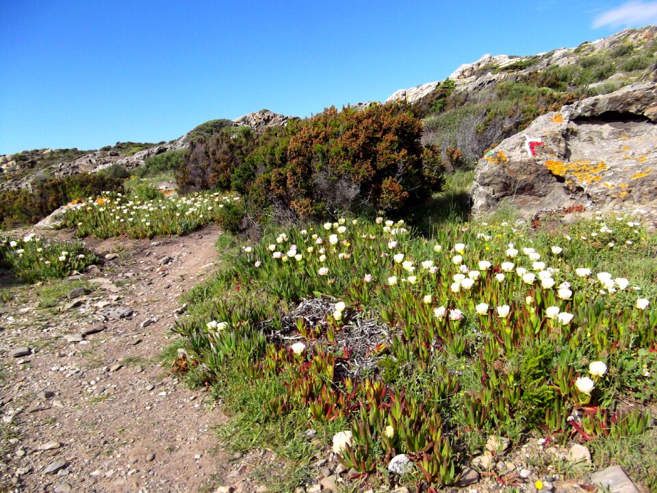 Landscape nature rock