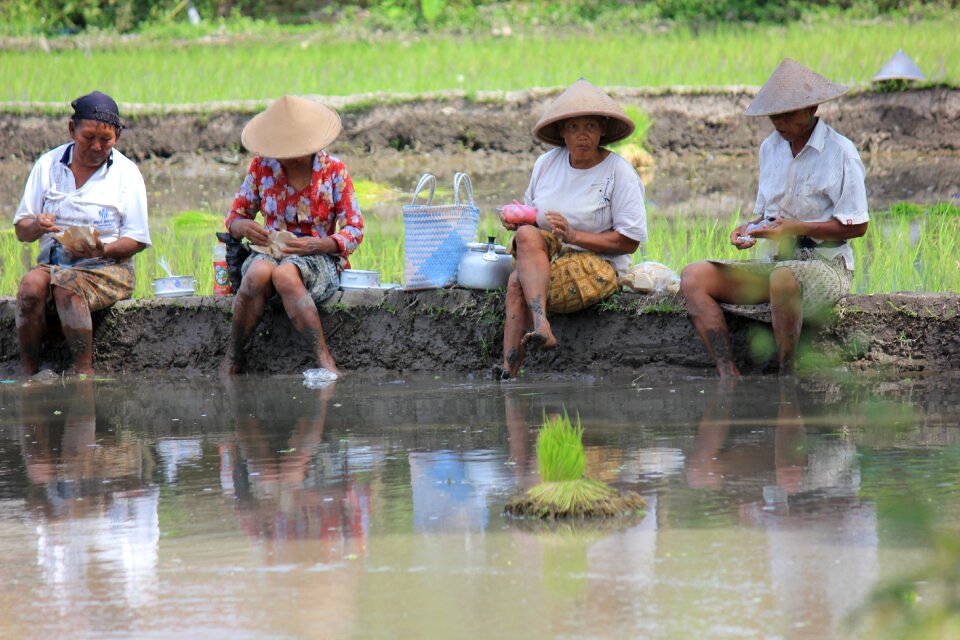 Landscape farm woman