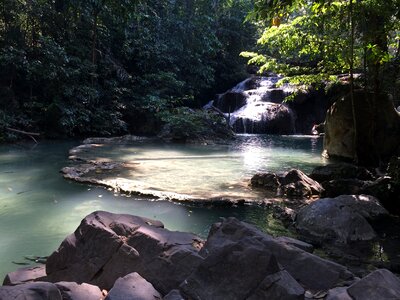 Forest mountain nature photo