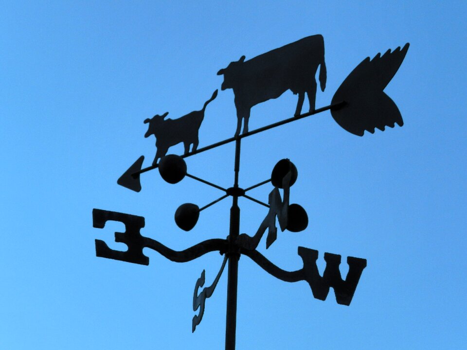 Arrow vane blowing