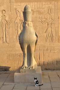 Pharaoh egyptian temple travel photo