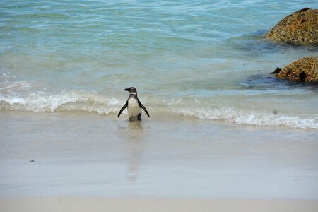 Water sand cape point