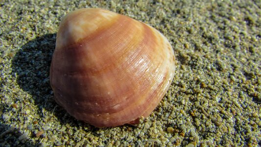 Nature beach