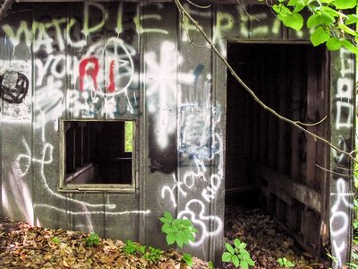 Forest outdoors structure