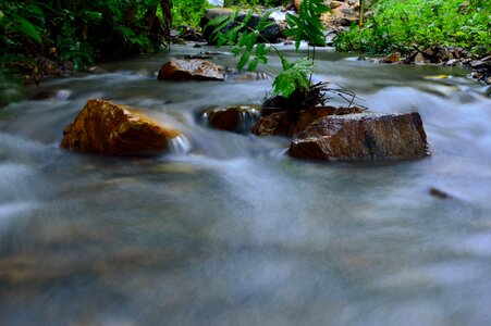 Nature river rock photo