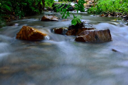 Nature river rock
