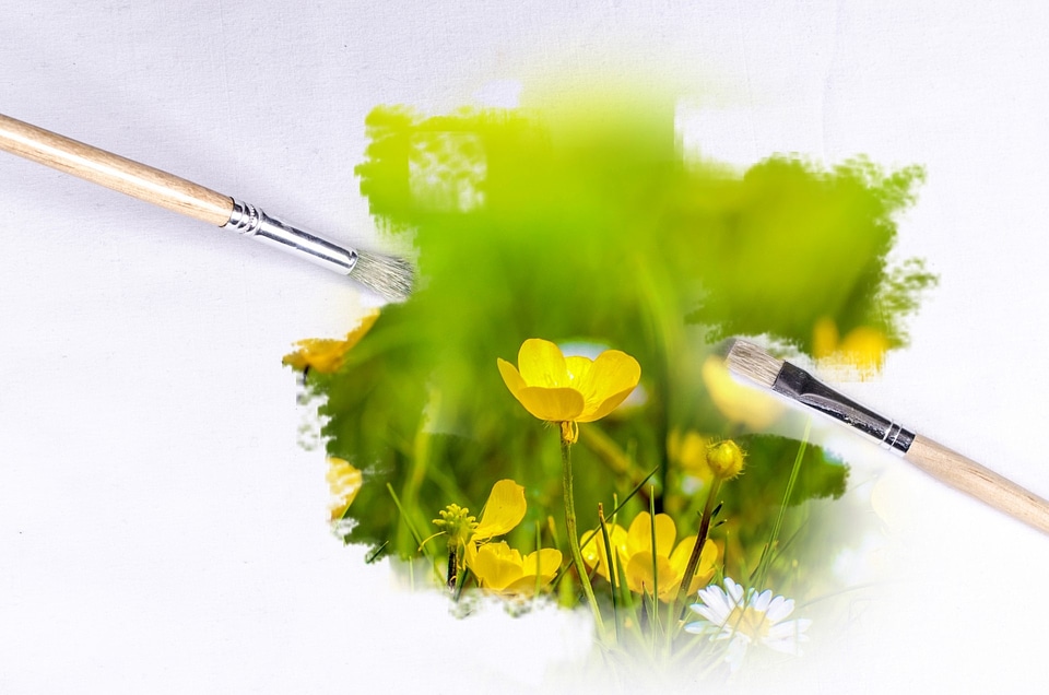 Flowers sunlight wallpaper