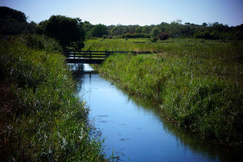 Sky mare water's edge