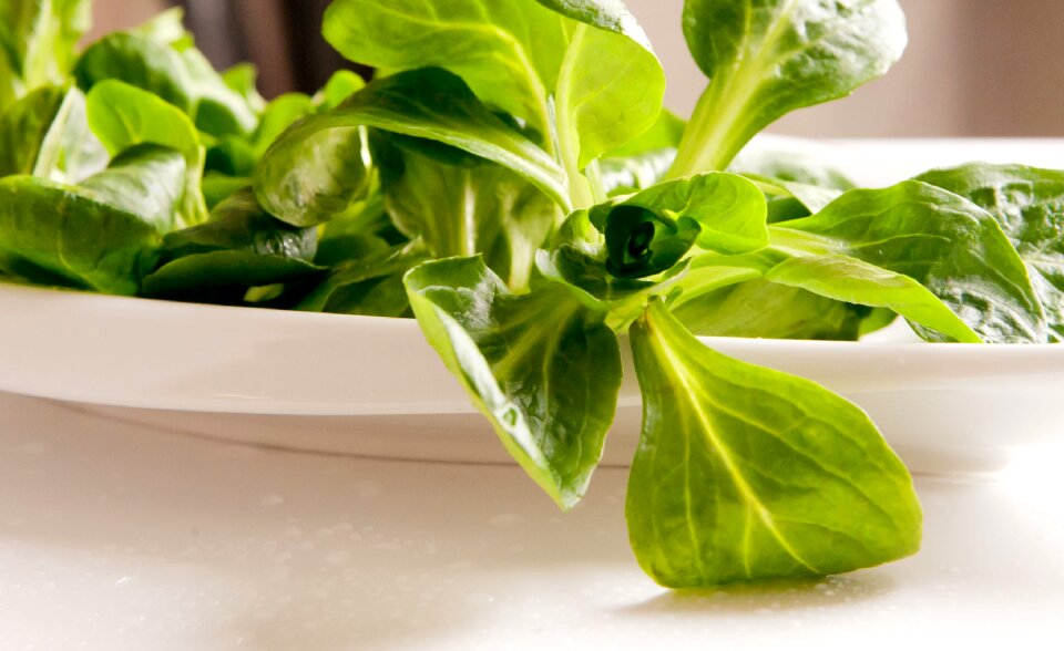 Leaves vitamins food