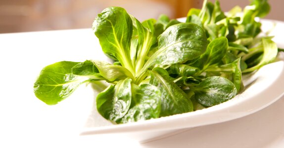 Lamb's lettuce healthy eat photo