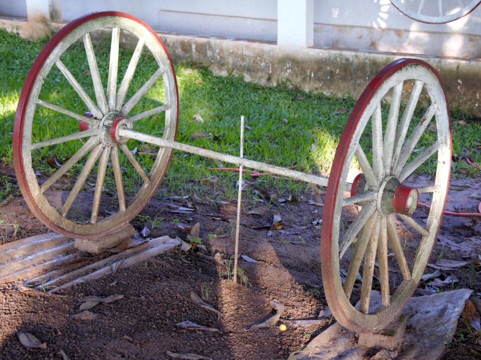 Wheel ox-cart garnish rural