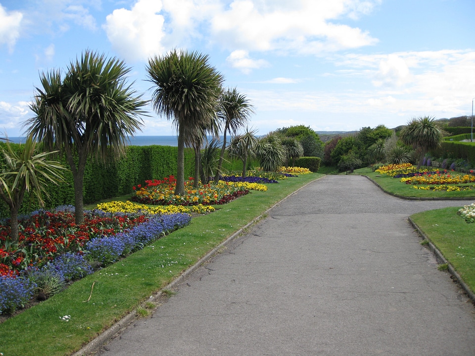 Park garden flower bed