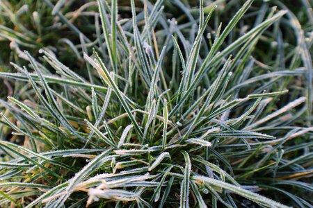 Winter cold ice