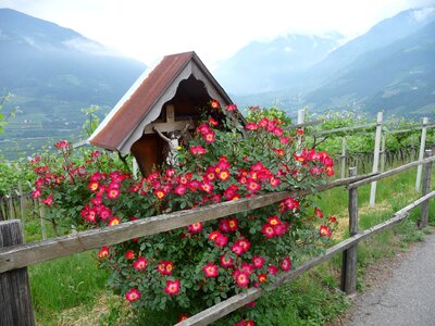 Crossroads tirolo south tyrol
