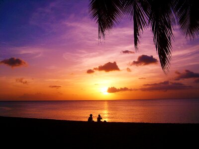 Sea evening palm photo