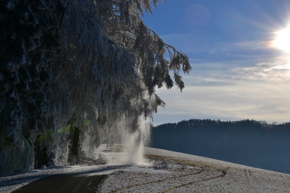 Winter carinthia walk
