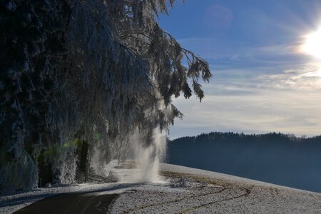 Winter carinthia walk