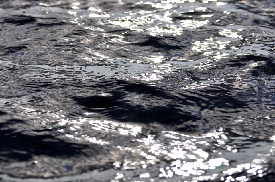 Lake nature rain