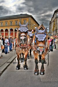 Oktoberfest munich taxi