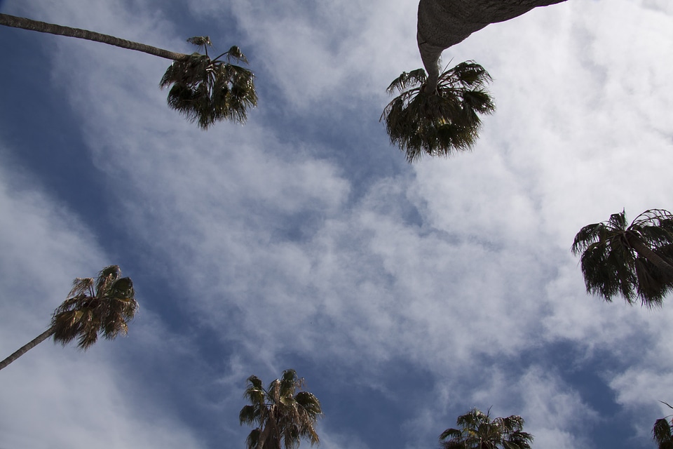 Blue sky low angle shot