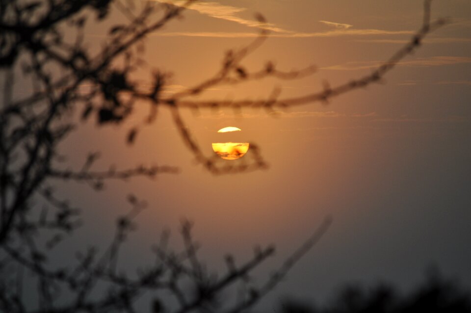 Landscape sun mist photo