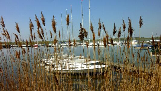 Web sailing boats silent