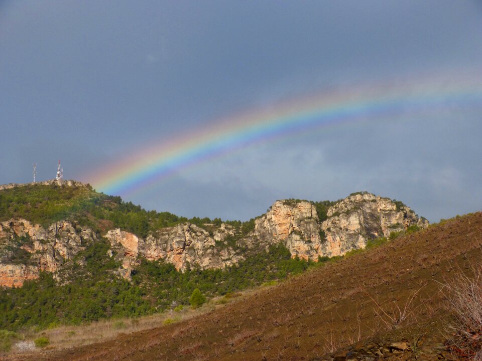 Vineyard landscape priorat