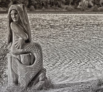 Background image black white