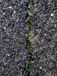 Ground grass grass crack road crack