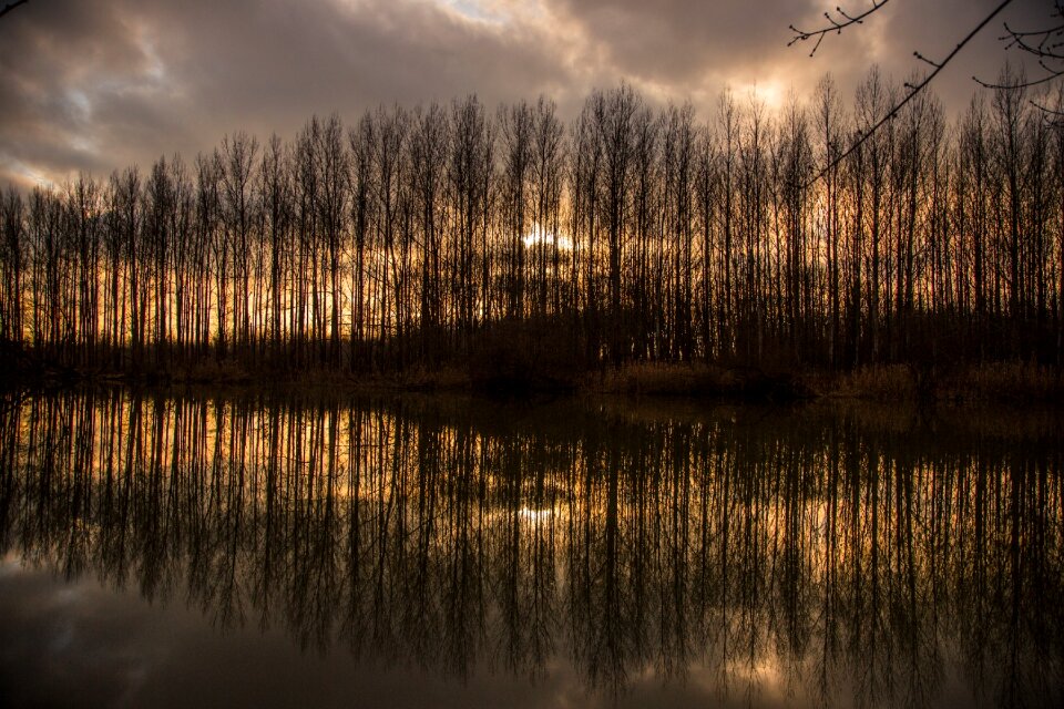 Nature landscape water pond photo