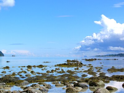 Weather ocean landscape