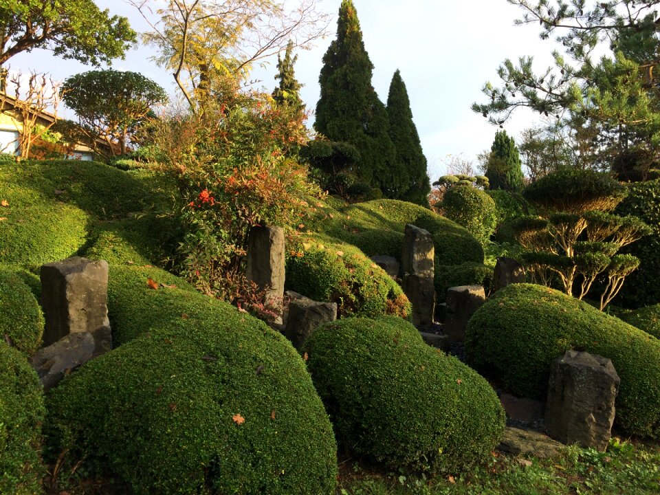 Landscape calm garden