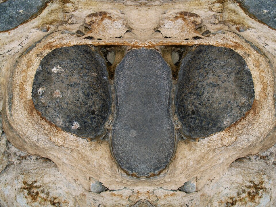 Nature nostrils cheerful
