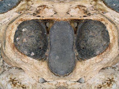 Nature nostrils cheerful