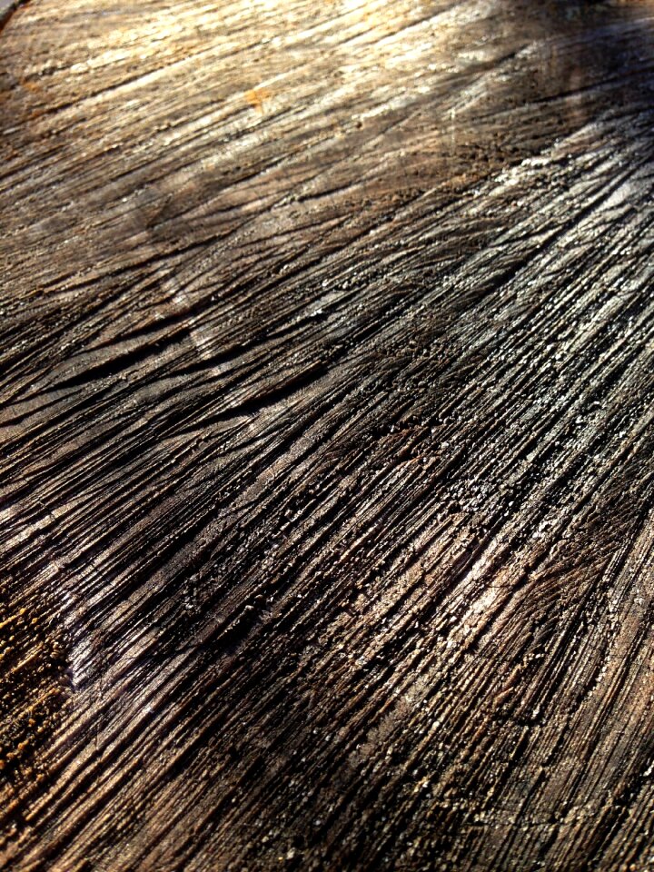 Trunk texture stripe wood