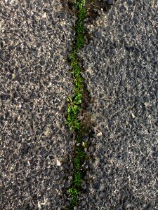 A straight line line grass soil