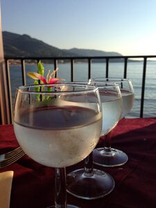 View summer wine glass