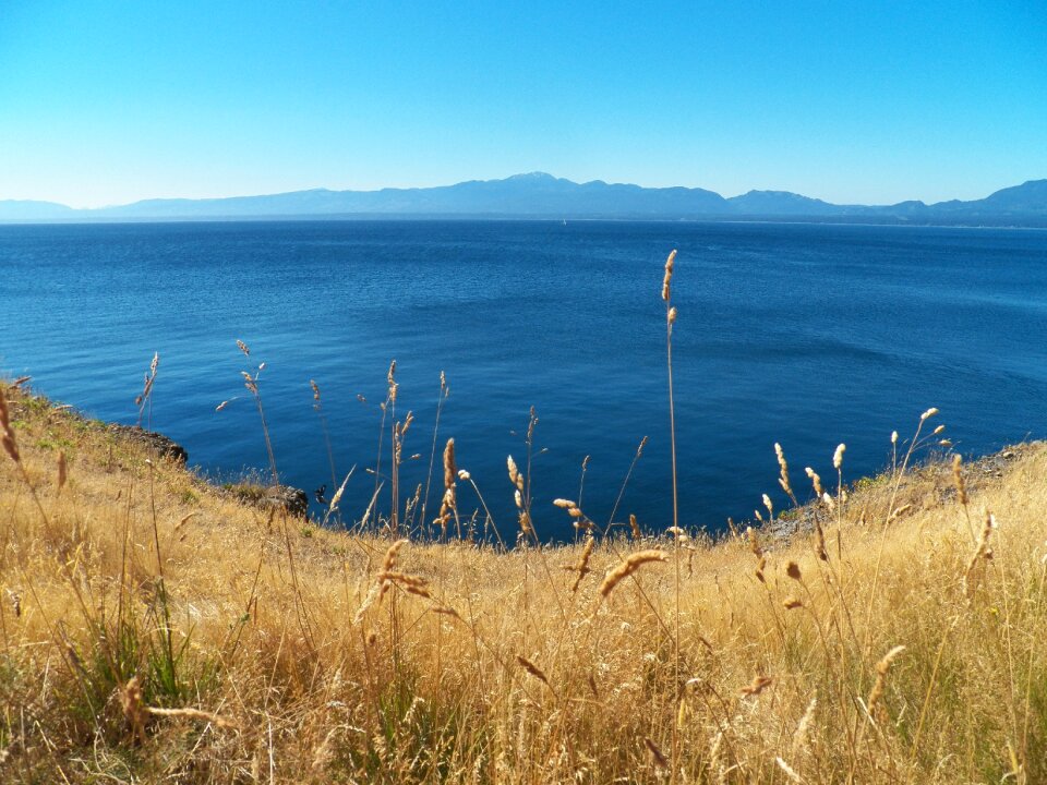 Summer scenic ocean