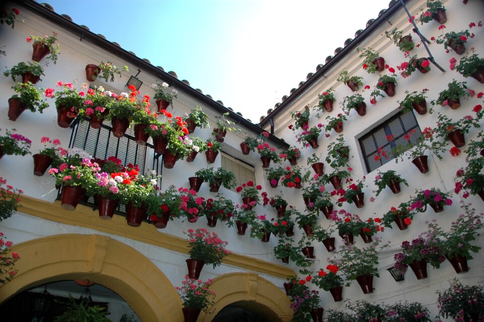 Cordoba spain andalusia