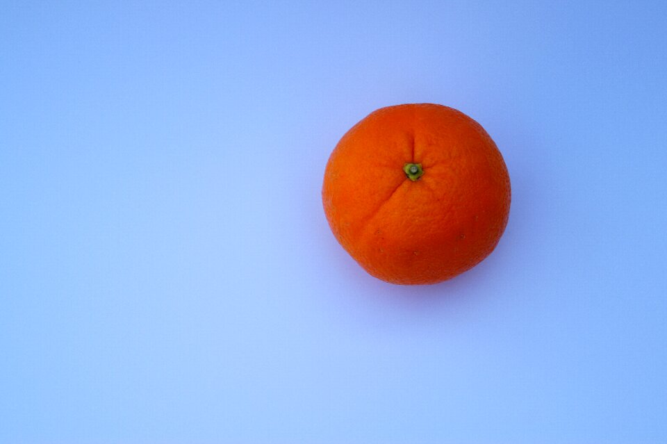 Citrus fruit white undercoat vitamins