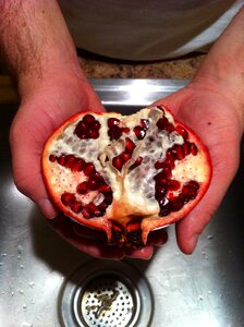 Healthy sweet nutrition