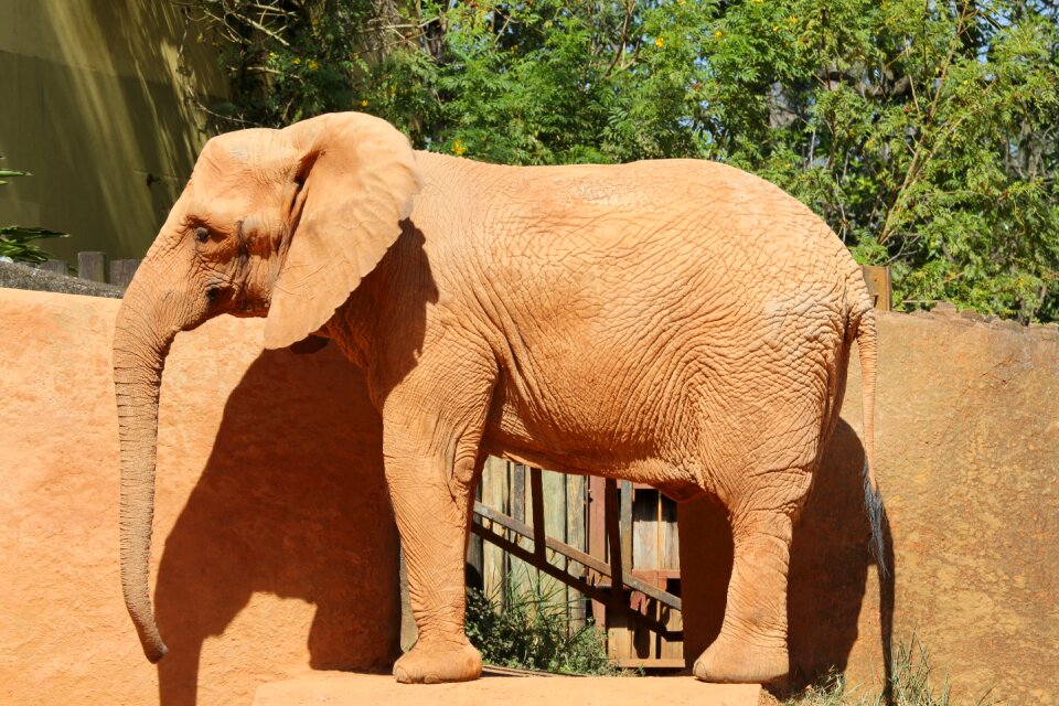 Wild zoo profile