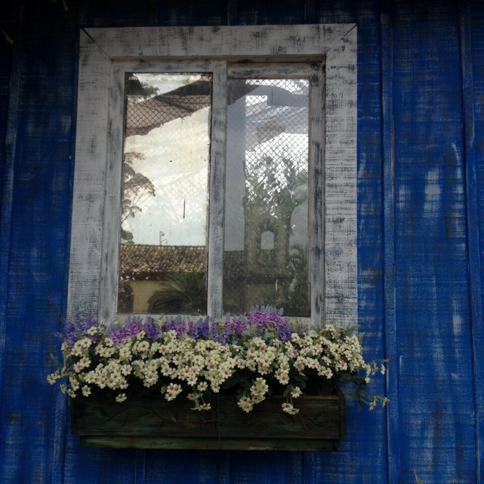 Flowers window balcony