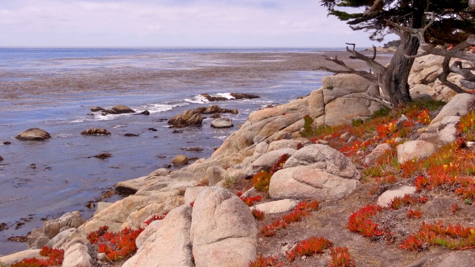 Nature sea coast