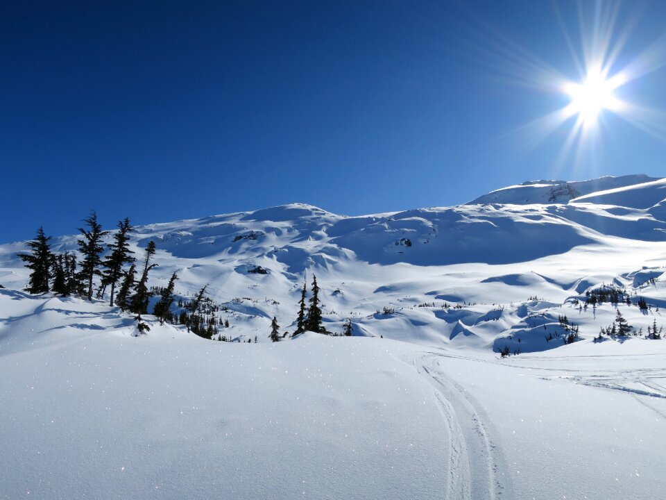 Wintry snowy canada photo