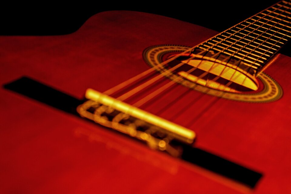 Close up stringed instrument soundbody