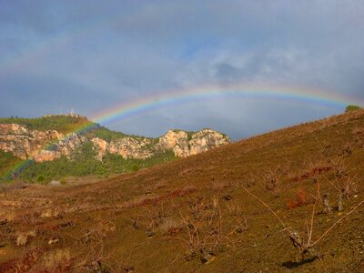 Vineyard landscape priorat