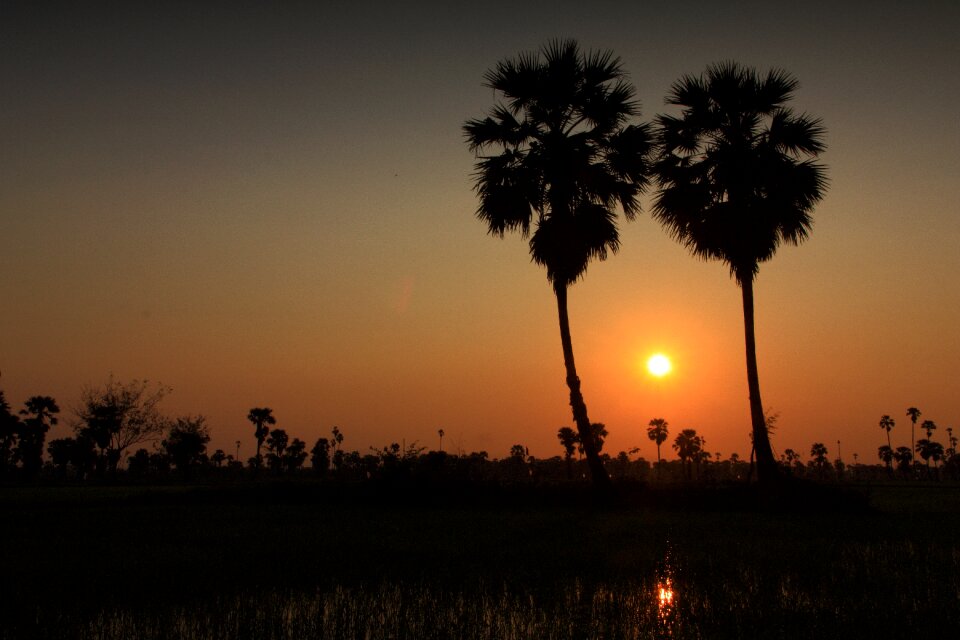 Sun rise cornfield evening photo