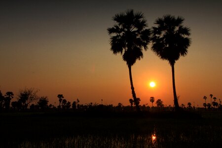 Sun rise cornfield evening photo